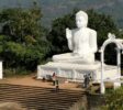 Aradhana-Gala-2