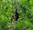 Dehiwala Zoological Garden 11