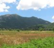 Ritigala-mount