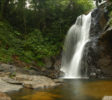 Sinharaja Forest Reserve