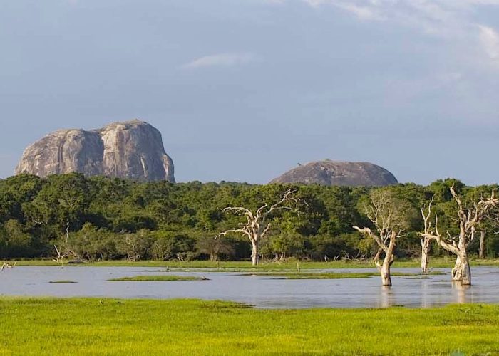 Yala-park-elephant-rock