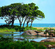 Yala-park-ocean