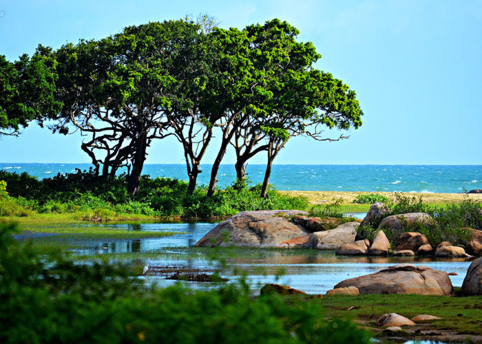 Yala-park-ocean