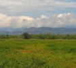 wasgamuwa-nation-park
