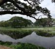 wasgamuwa-park1