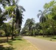 Royal Botanic Garden 1 Kandy