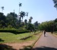 Royal Botanic Garden Kandy