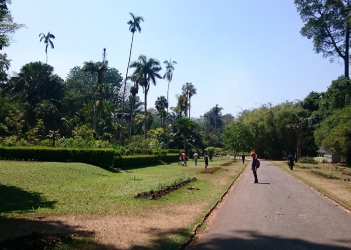 Royal Botanic Garden Kandy