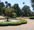 Royal Botanic Garden 9 Kandy