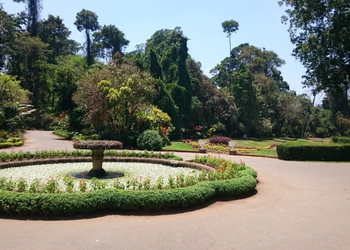 Royal Botanic Garden 9 Kandy