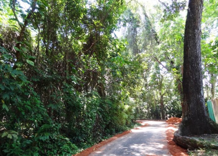 Henarathgoda Botanical Garden 12 Gampaha