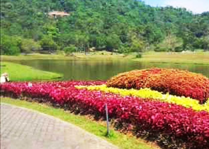 Henarathgoda Botanical Garden 8 Gampaha