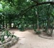 new-ranweli-spice-garden