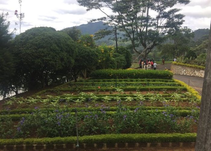 new-ranweli-spice-garden-view