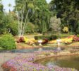 Hakgala Botanical Gardens 1