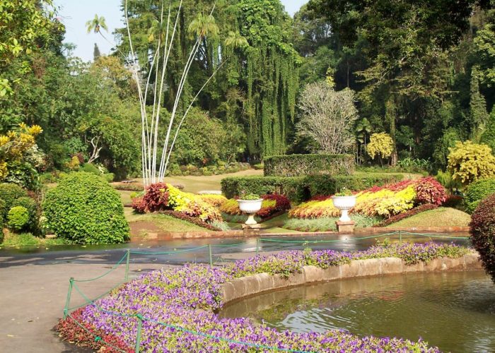 Hakgala Botanical Gardens 1