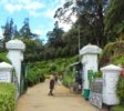 Hakgala Botanical Gardens 2