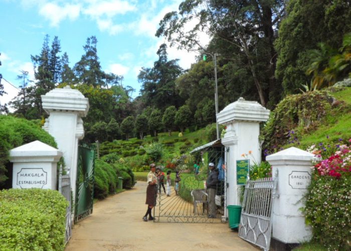 Hakgala Botanical Gardens 2