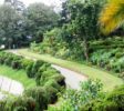 Hakgala 4 Botanical Gardens