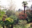 Hakgala 5 Botanical Gardens