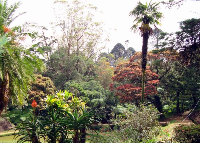 Hakgala 5 Botanical Gardens