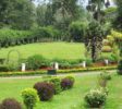 Hakgala 1 Botanical Gardens