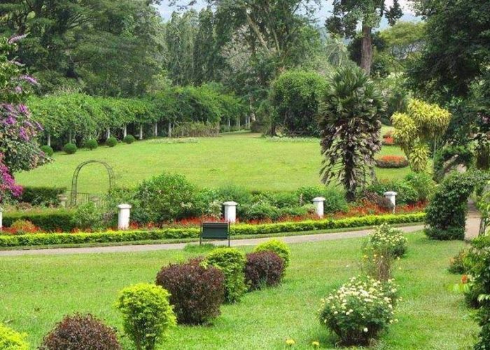 Hakgala 1 Botanical Gardens