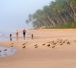 Koggala-beach-2
