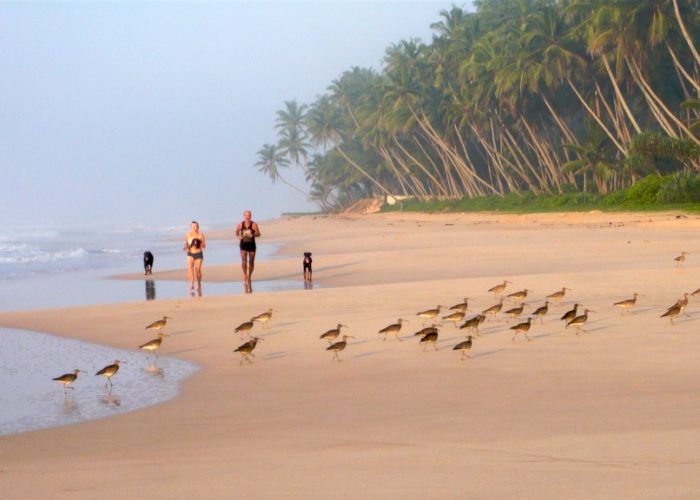 Koggala-beach-2