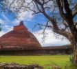 Ancient-Ruins-Sacred-City-of-Anuradhapura-1