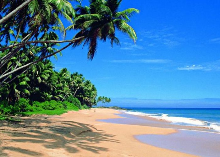 Beach-Negombo-Lanka
