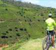 Bike Tours 1