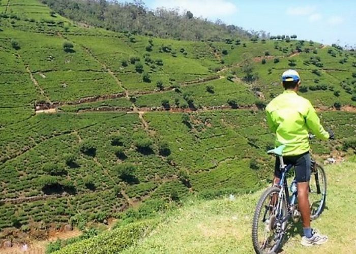 Bike Tours 1