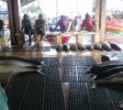 Fish-Market-Negombo