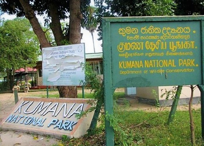 Kumana park 2