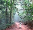 Udawatta Sanctuary 4
