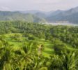 Victoria-Golf-sri-lanka