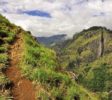 Adams-peak wilderness sanctuary