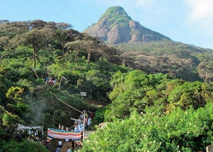 Park Adams-peak