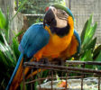 zoo-Dehiwala