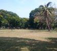 Park Colombo