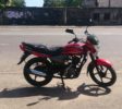 Bike Platina Savinta hire