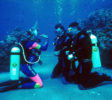 Blue Deep Diving Centre 11