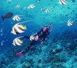 Blue Deep Diving Centre 22