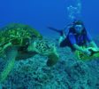 Blue Deep Diving Centre Hik