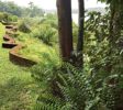 Brief Garden 2 of Bevis Bawa