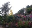 Dambulla gold temple