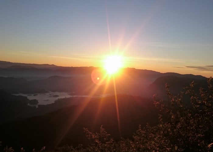 SunRise Adam