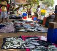 Gallel Fish Market