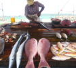 Hikkaduwa Fish market